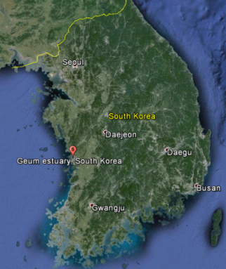 Geum estuary South Korea