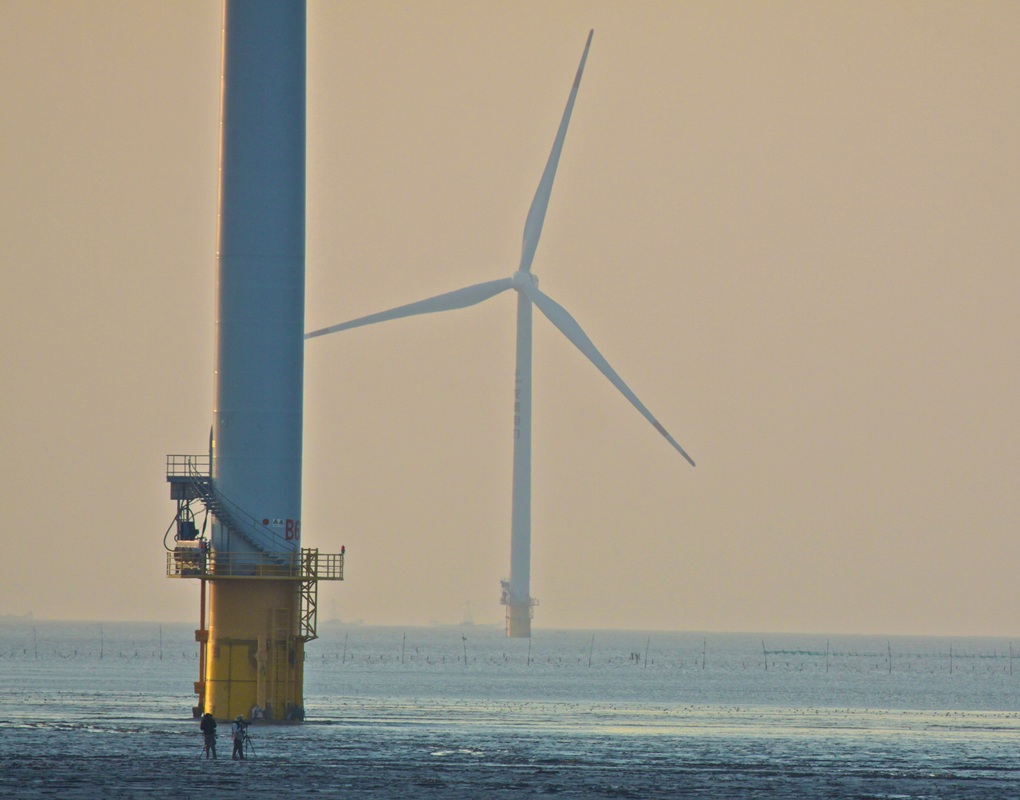 Giant Turbines cross the landscape and stretch far out into the Yellow Sea dwarfing us on the mudflats