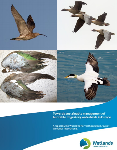 Towards sustainable management of huntanle migratory waterbirds in Europe