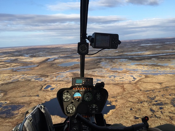 View of the Yukon Delta National Wildlife Refuge from the inside of the R44 helicopter © Richard Lanctot